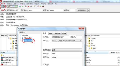 使用Filezilla进行服务器连接