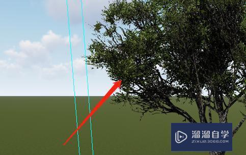 如何解决Lumion中导入模型消失，仅显示后续树木的问题？ - BIM,Reivt中文网