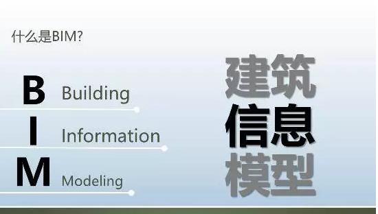 在BIM和造价师之间做出选择 - BIM,Reivt中文网