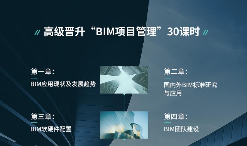 BIM项目管理专家 - BIM,Reivt中文网