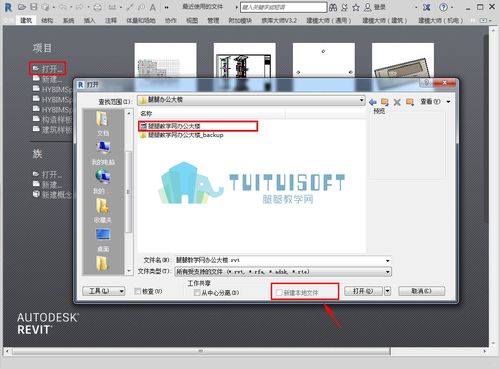 怎样处理无法打开Revit文件的问题 - BIM,Reivt中文网