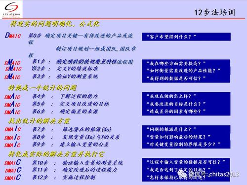提升绩效的DMAIC培训 - BIM,Reivt中文网
