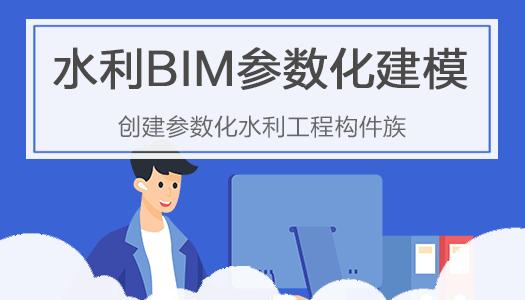 学习水利BIM建模和应用的视频教程 - BIM,Reivt中文网