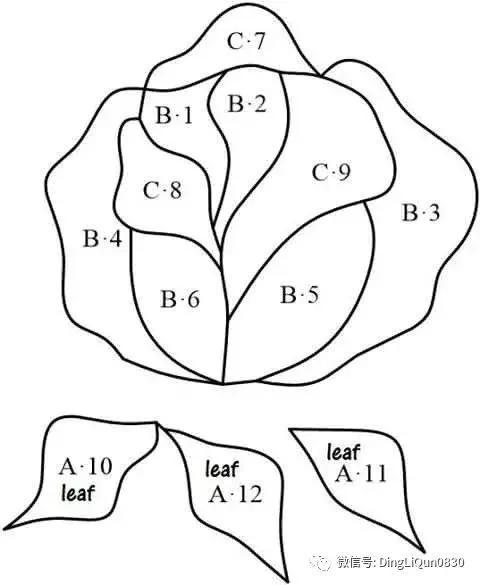 cad绘制平面玫瑰花的步骤 - BIM,Reivt中文网