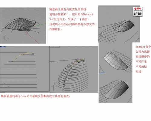 犀牛为什么不能成功沿曲面流动？ - BIM,Reivt中文网