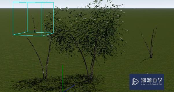 lumion无法显示放置的植物 - BIM,Reivt中文网