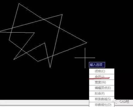 CAD中如何合并分散的线段？ - BIM,Reivt中文网