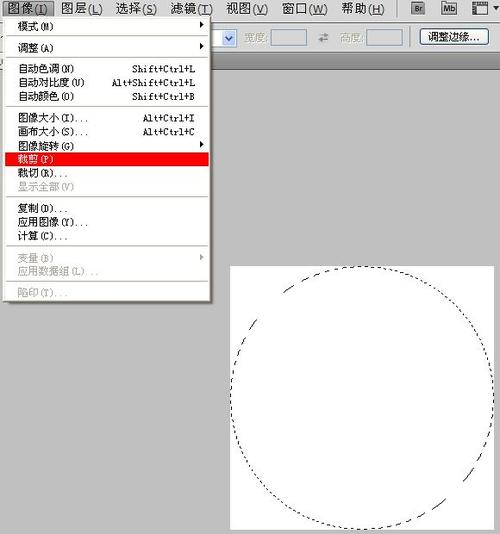 如何使用PS轻松裁剪圆形？ - BIM,Reivt中文网