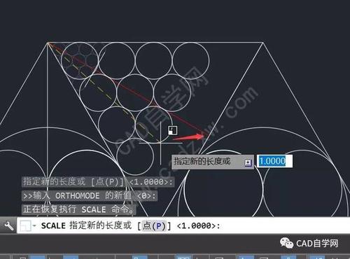 CAD缩放技巧：轻松将图纸放大 - BIM,Reivt中文网