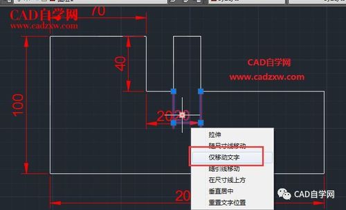 将CAD图形进行左右翻转 - BIM,Reivt中文网