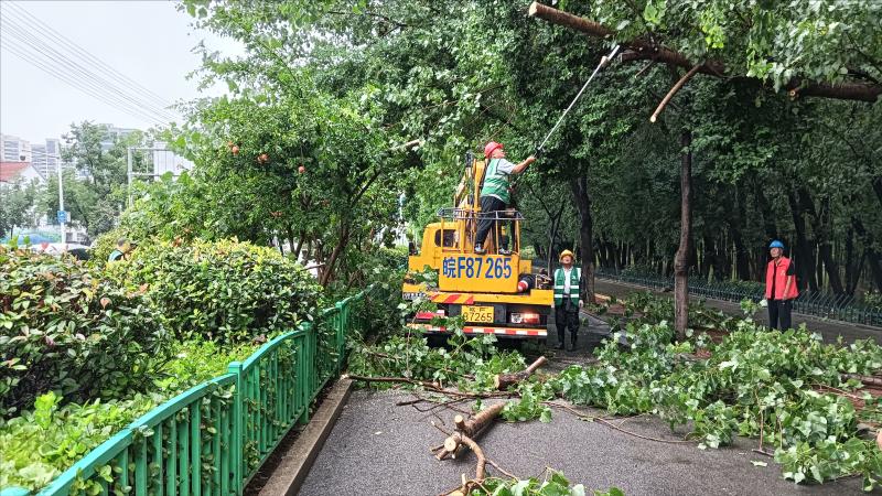 严阵以待 迎“风”而战 淮北市园林处全力做好台风抢险工作