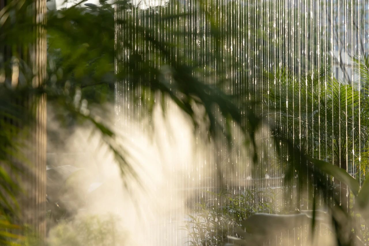 夏日雨林 | 成都德桦·御湖和境第6张图片