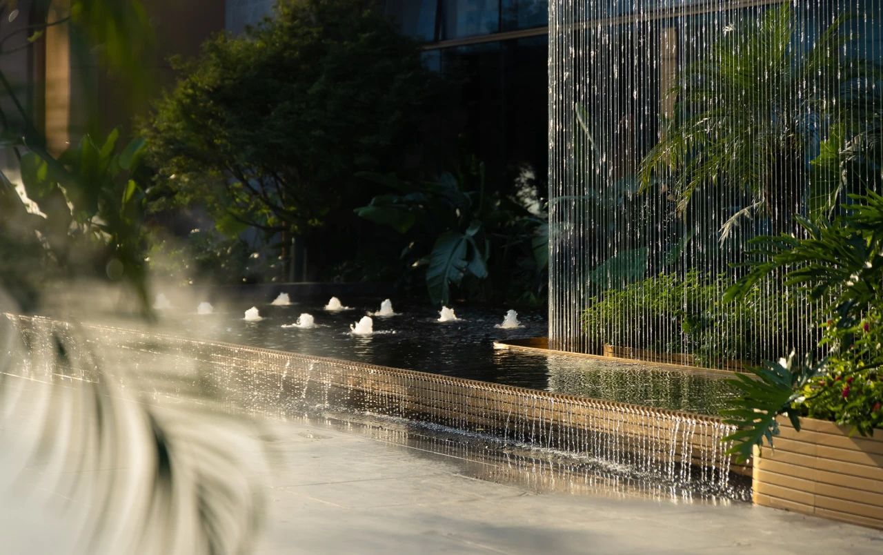 夏日雨林 | 成都德桦·御湖和境第16张图片