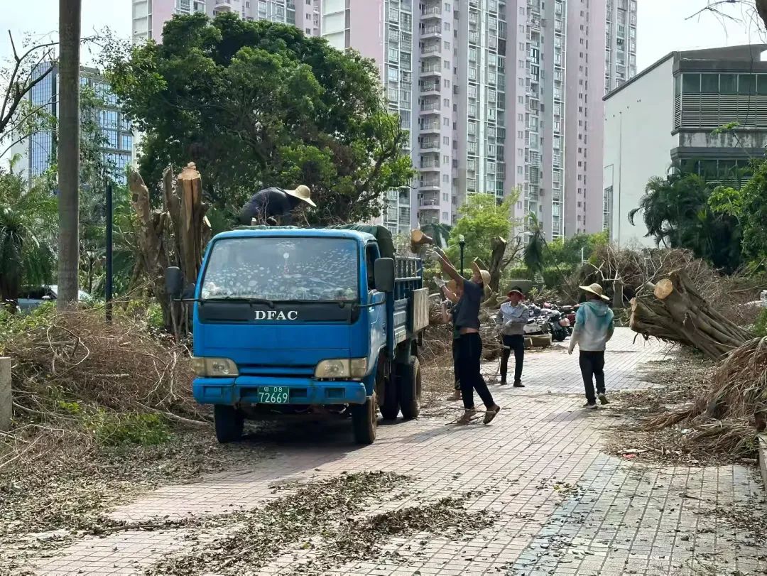 海口市住建局督导调研物业小区灾后恢复重建工作